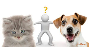 Perros o Gatos. ¿Qué prefiere la gente?